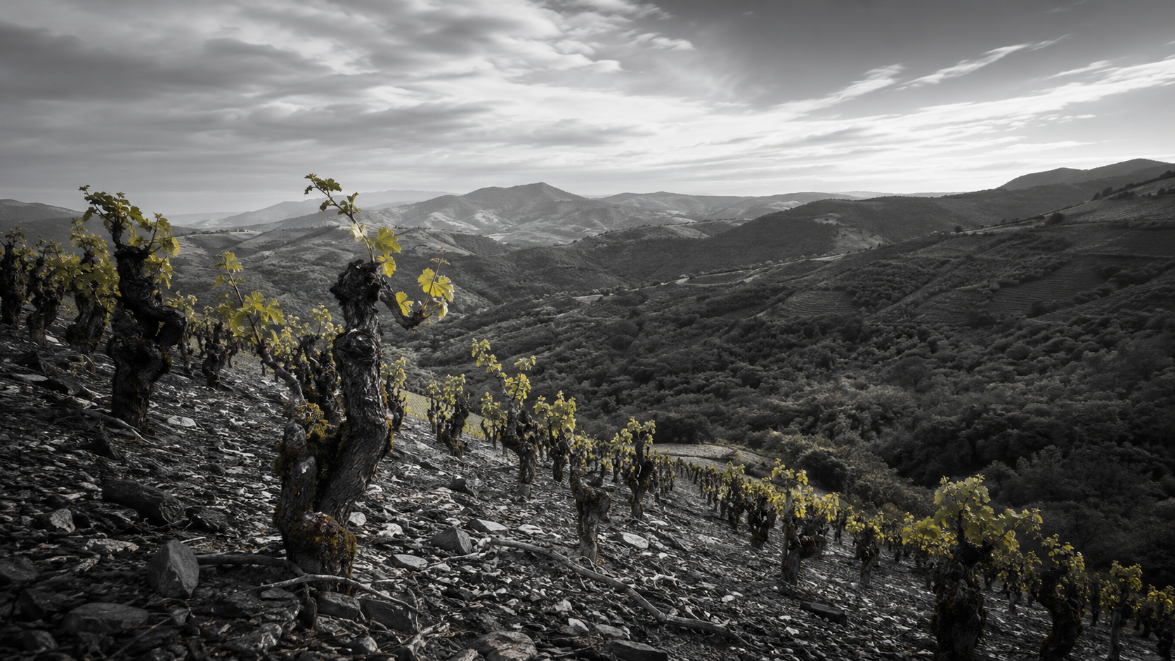 Paisaje patrimonial del Valle de Itata
