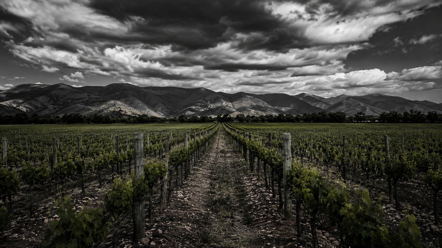 Paisaje vitivinícola del Valle del Maule